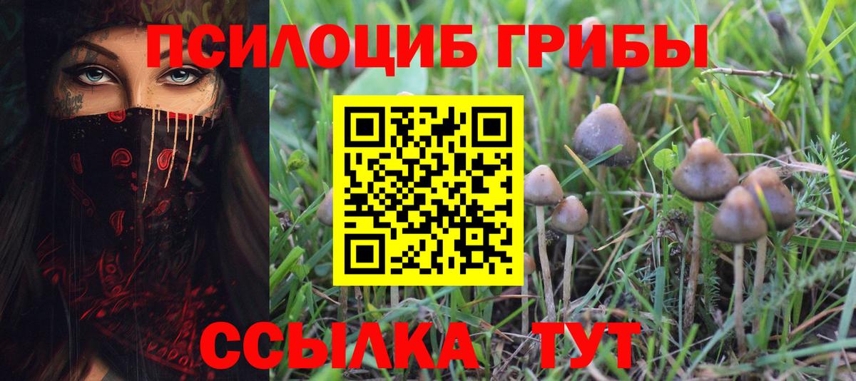 Галлюциногенные грибы MAGIC MUSHROOMS Чайковский