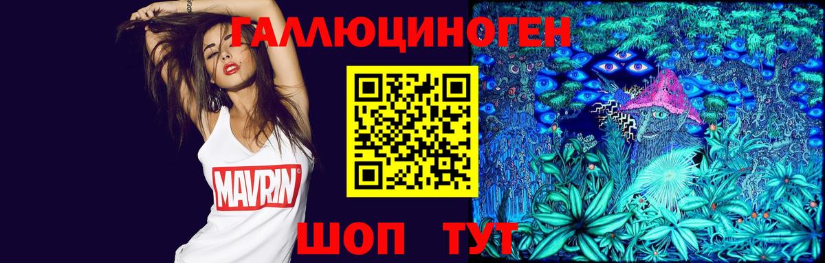 Чайковский  Галлюциногенные грибы Psilocybe  Вход с VPN 