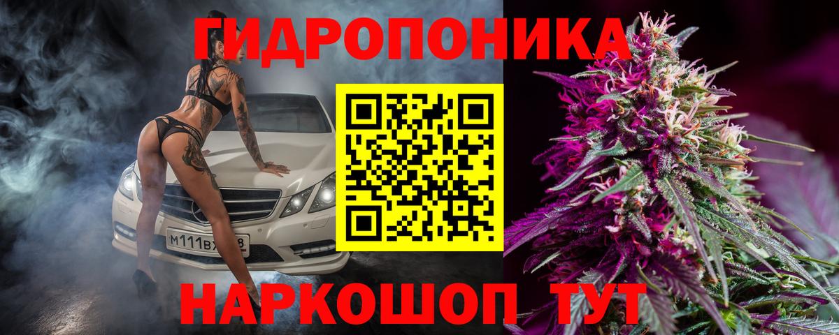 Бошки марихуана OG Kush Чайковский